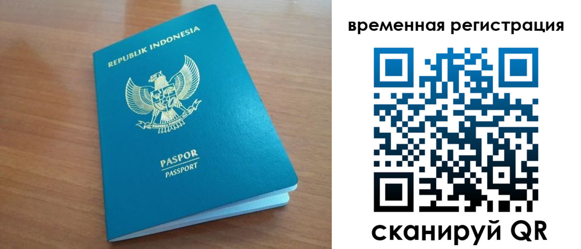 прописка законно в Димитровграде
