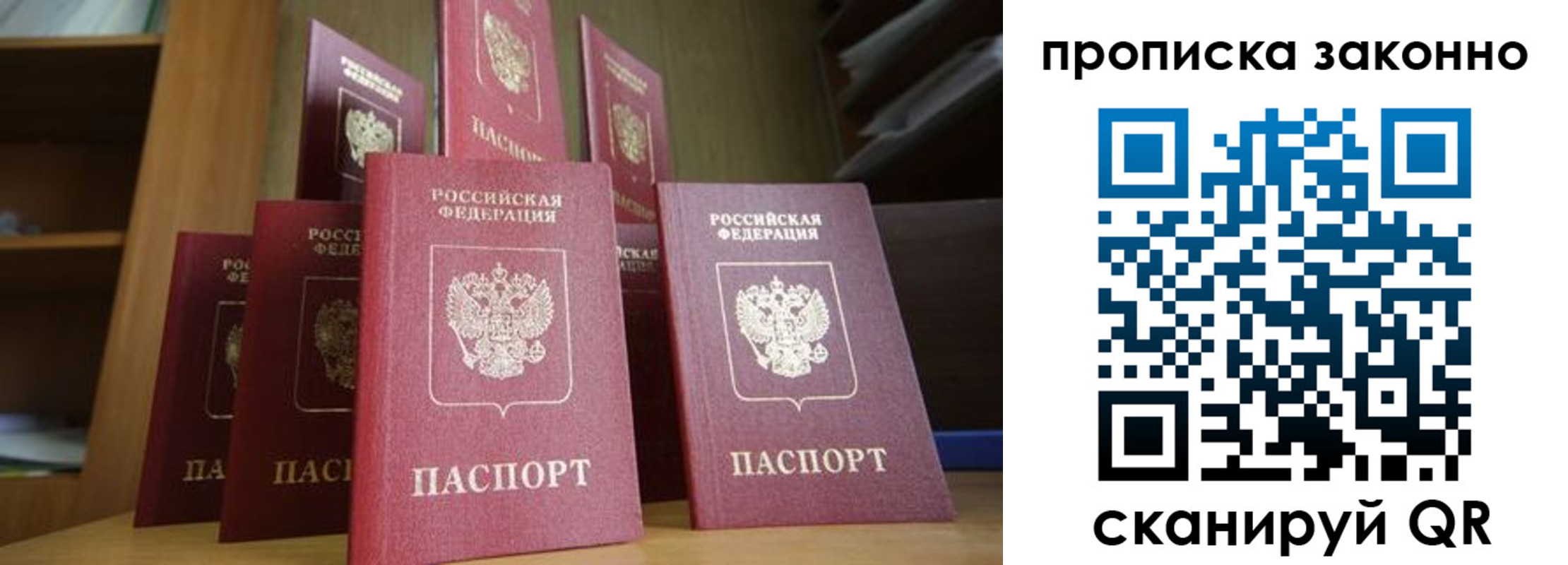 прописка в квартире в Димитровграде